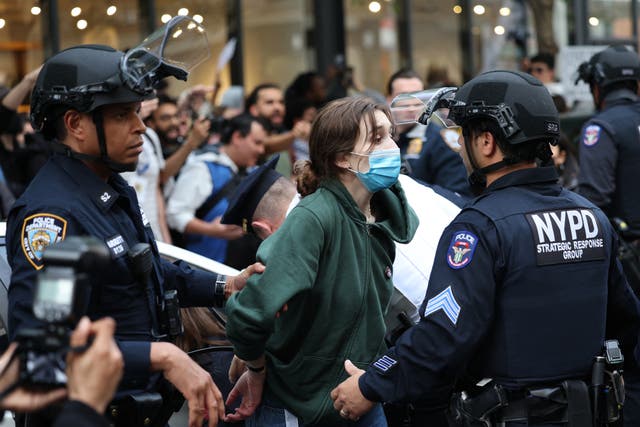 <p>Police arrest a pro-Palestinian demonstrator near the Met Gala at the Metropolitan Museum of Art on May 6, 2024 in New York City</p>