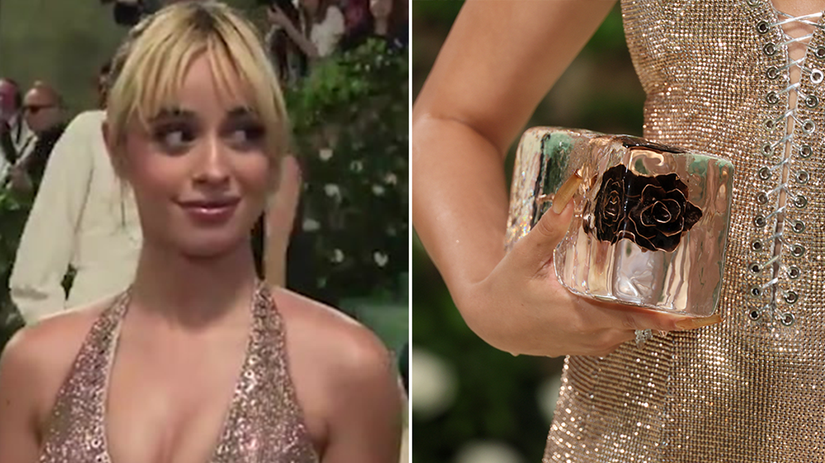 Camila Cabello shows off frozen hands after bringing purse made of ice to Met Gala