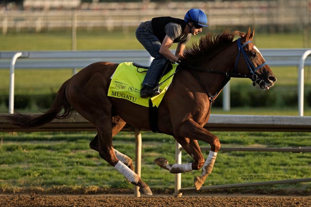 PREAKNESS