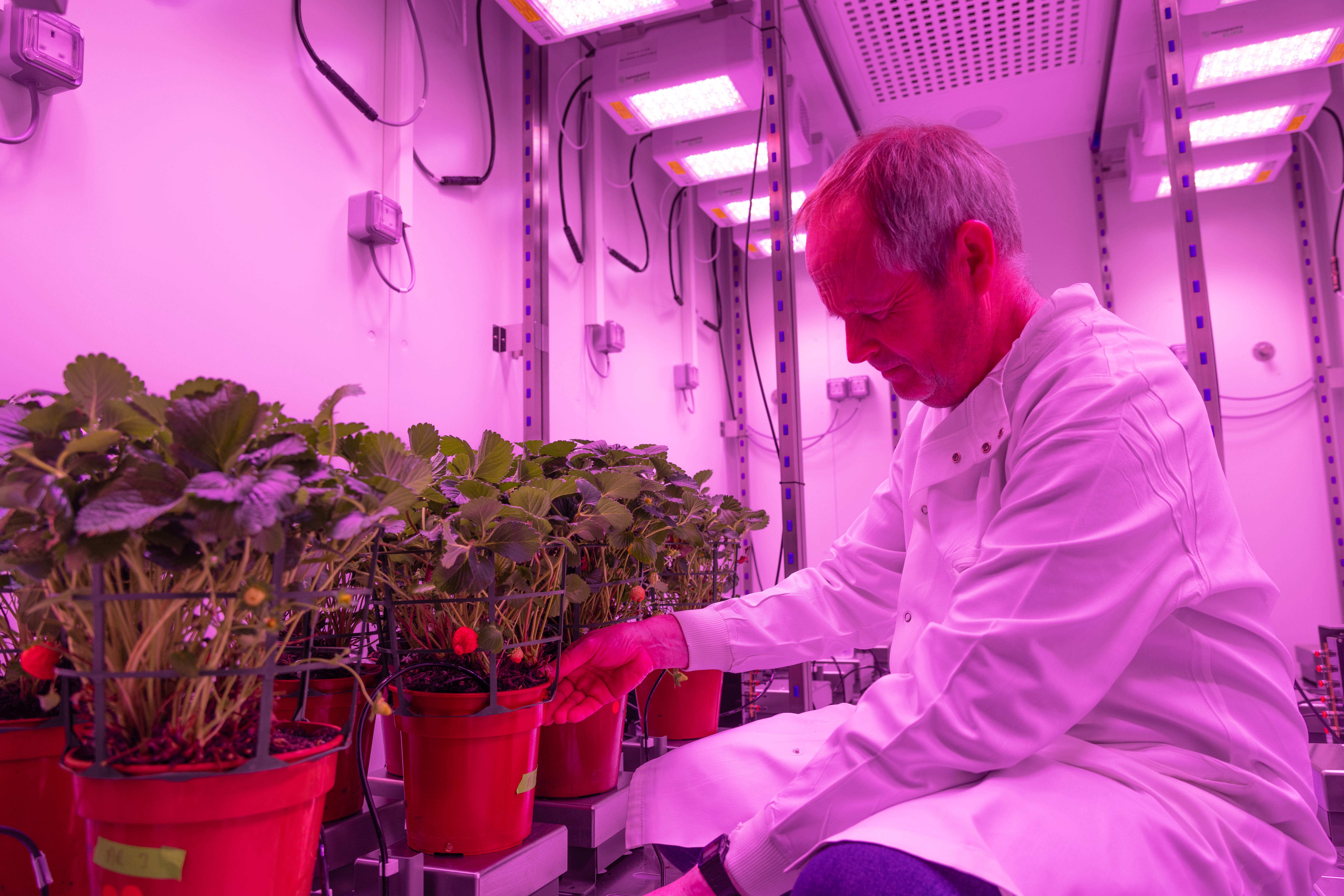 Dr Phillip Davey works in the drought room at Essex University’s new plant lab (Essex University/PA)