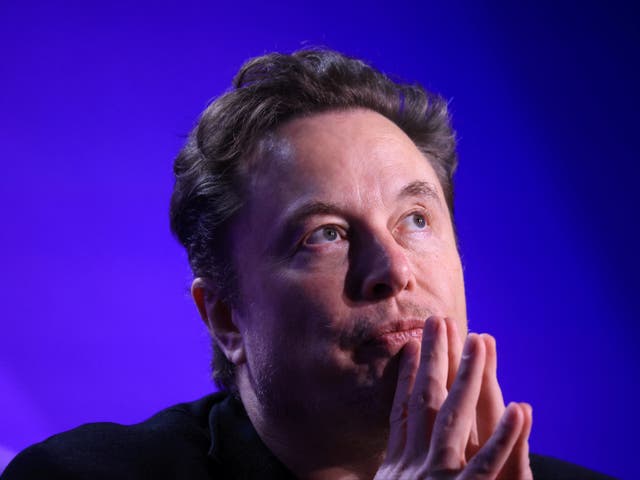 <p>Elon Musk during the 2024 Milken Conference in Beverly Hills, California, May 2024</p>