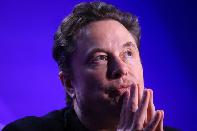 <p>Elon Musk during the 2024 Milken Conference in Beverly Hills, California, May 2024</p>