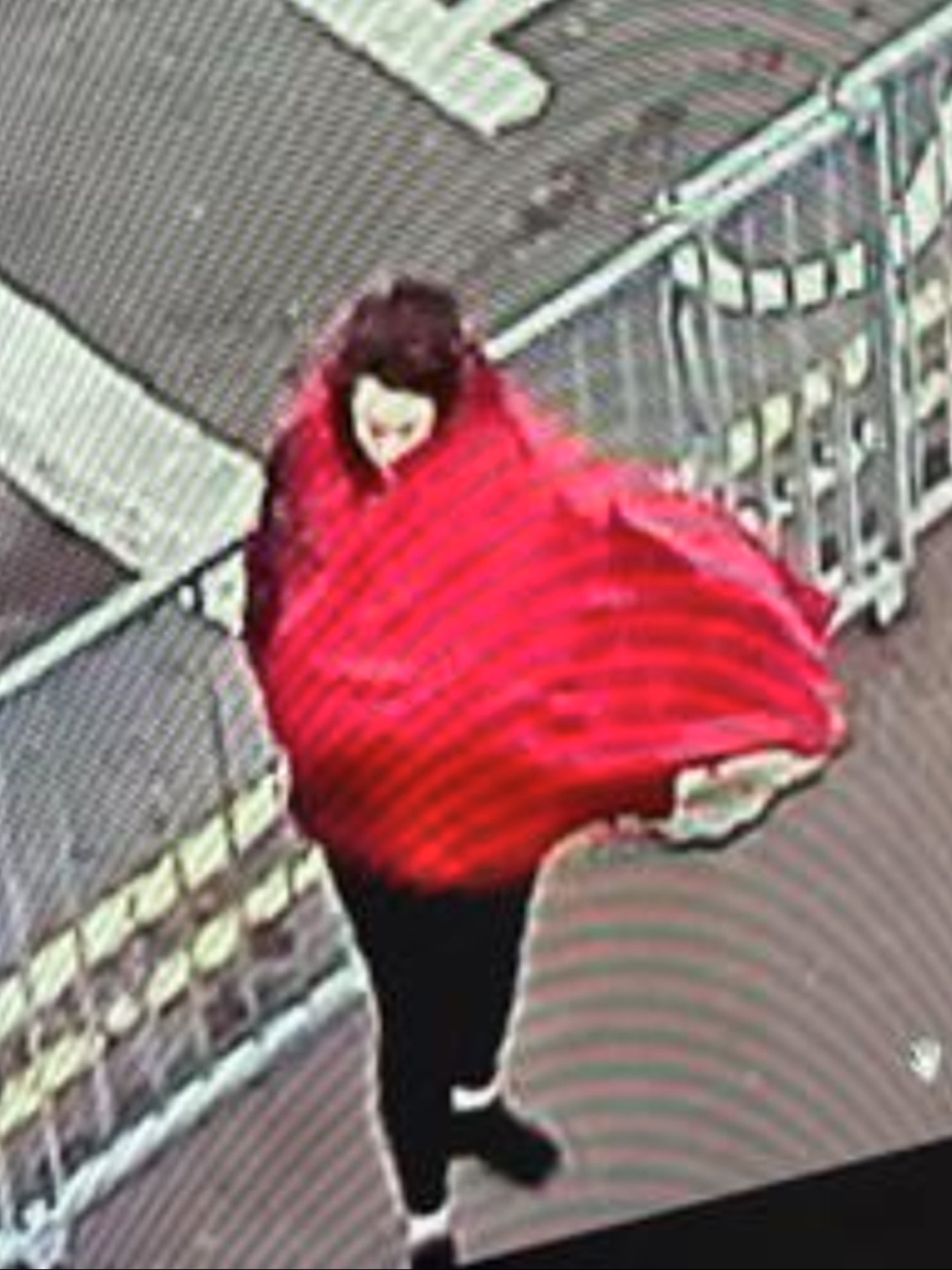 ‘It seemed that Marten was fully invested and often driving the couple’s haphazard plans’