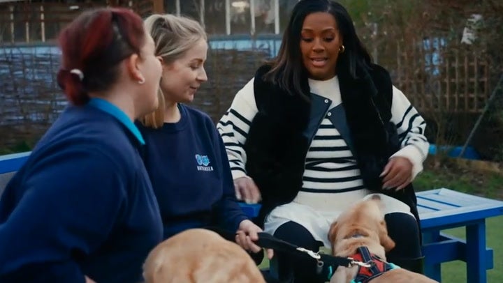 Alison Hammond comparou um Labrador 'babado' a Paul Hollywood em For the Love of Dogs.