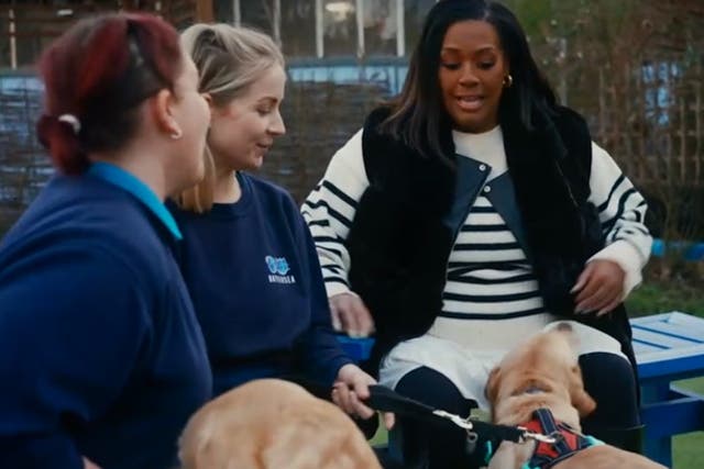 <p>Alison Hammond compares ‘slobbery’ Labrador to Paul Hollywood on For the Love of Dogs.</p>