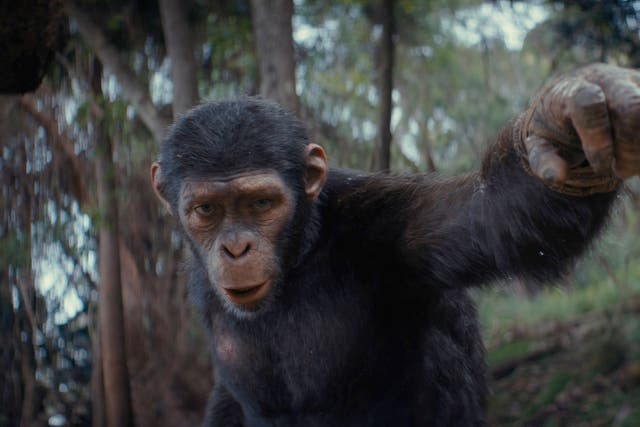 Film Review - Kingdom of the Planet of the Apes