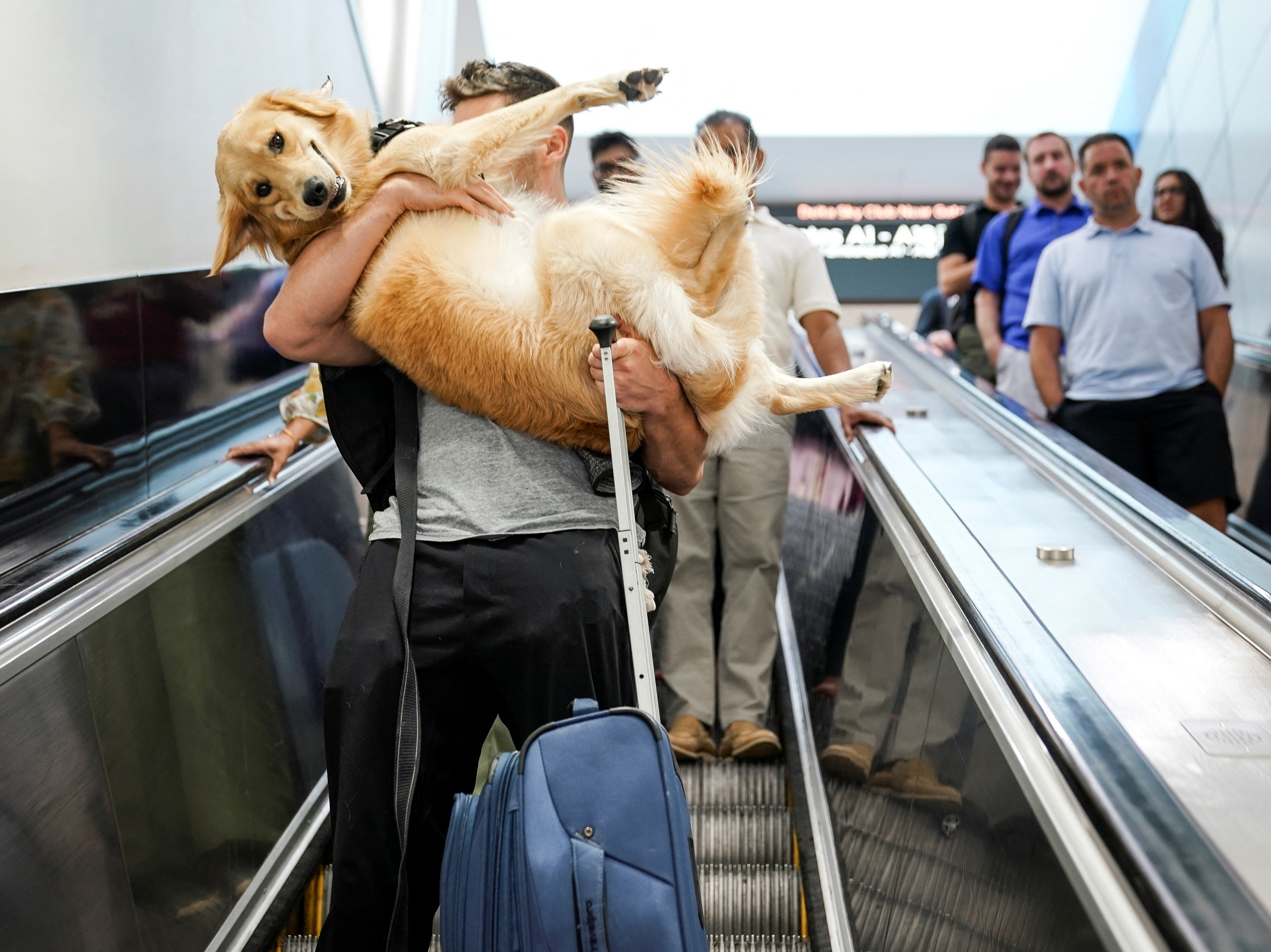 Matthew Mottola carries his dog Luca down an escalator at Hartsfield-Jackson Atlanta International Airport