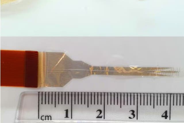 <p>The flexible electronic device for recording spinal cord activity also has the potential to be used in further research</p>