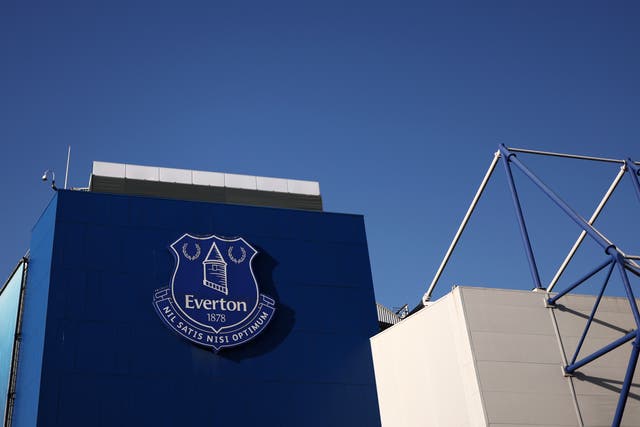<p>Everton are hoping to be sold by current owner Farhad Moshiri </p>