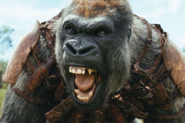 <p>One of the apes of ‘Kingdom of the Planet of the Apes’, as played by Eka Darville</p>