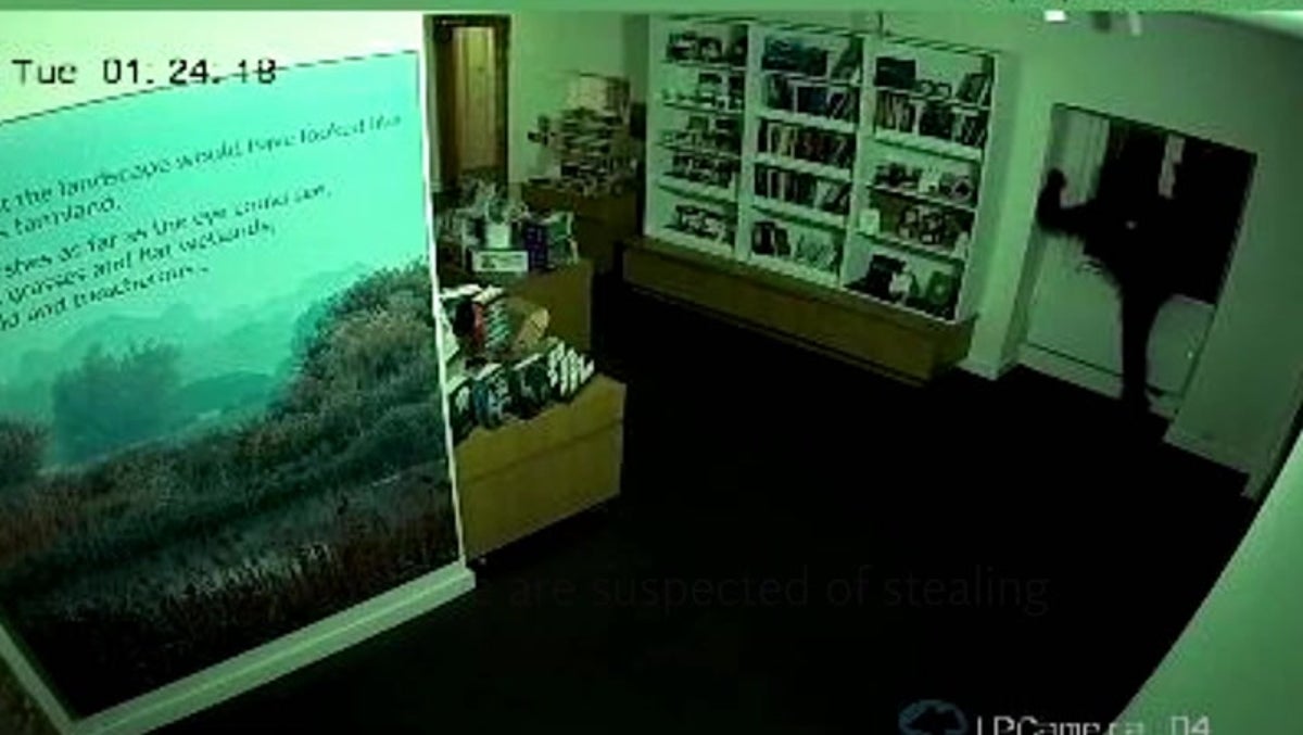 Watch: CCTV shows theft of 3,000-year-old gold jewellery from museum
