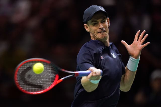 <p>Andy Murray </p>