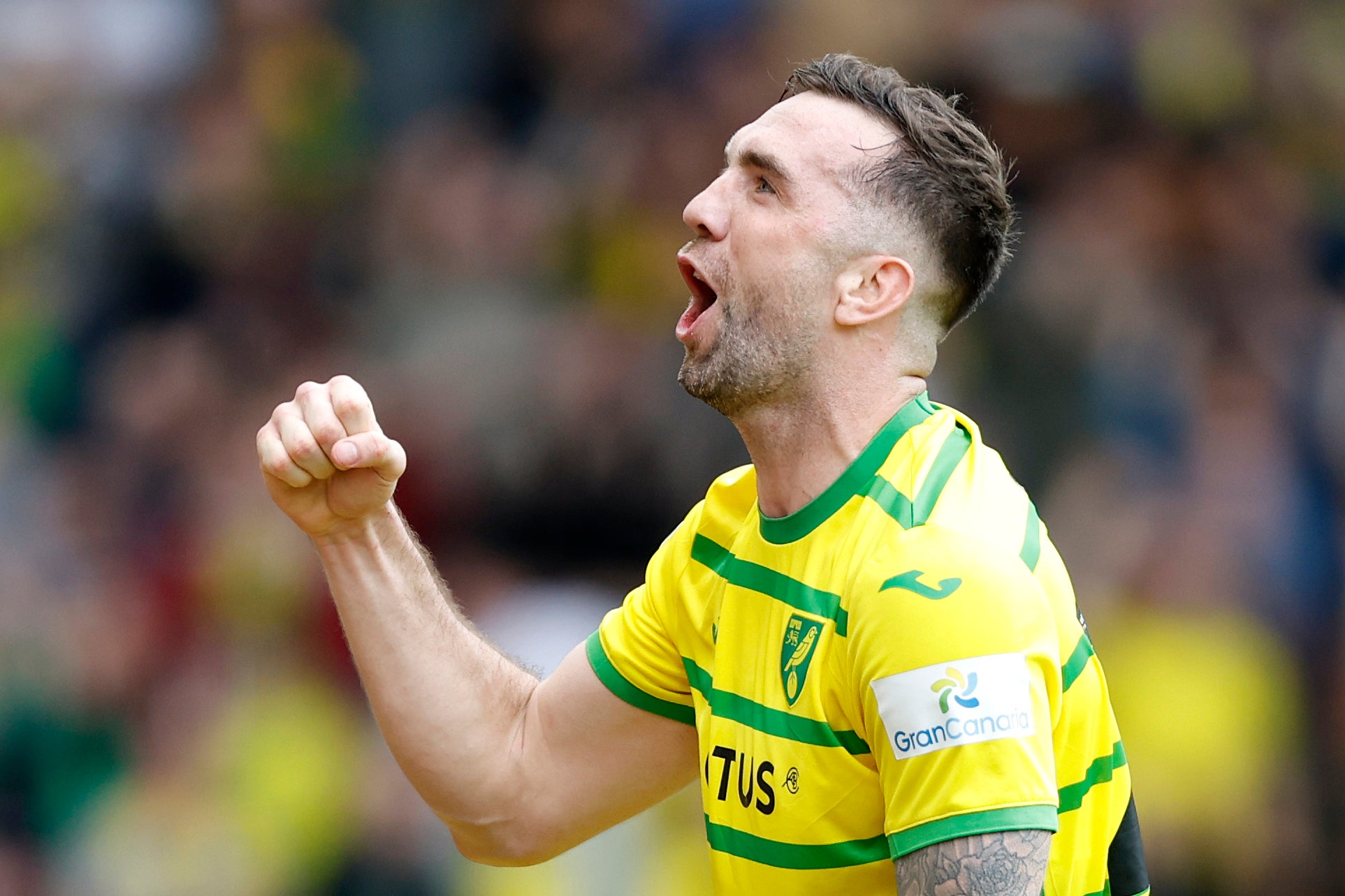 Norwich City’s Shane Duffy is free to play