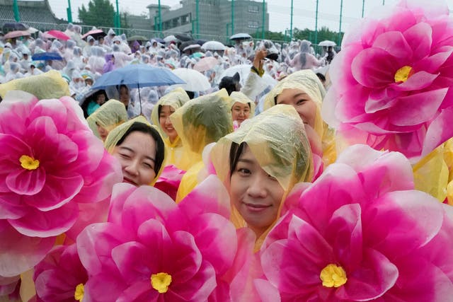 South Korea Lotus Lantern Festival