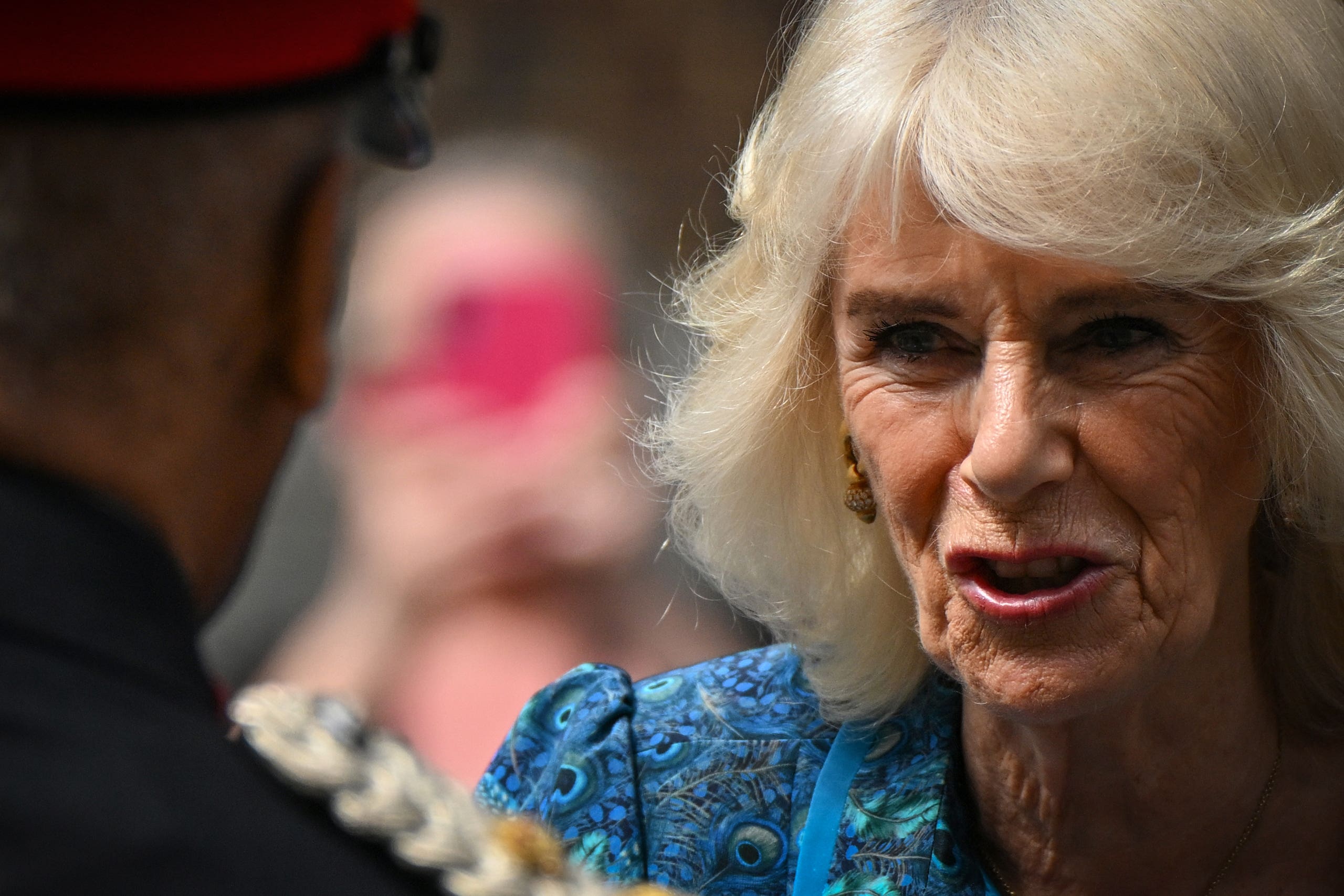 Queen Camilla (Justin Tallis/PA)