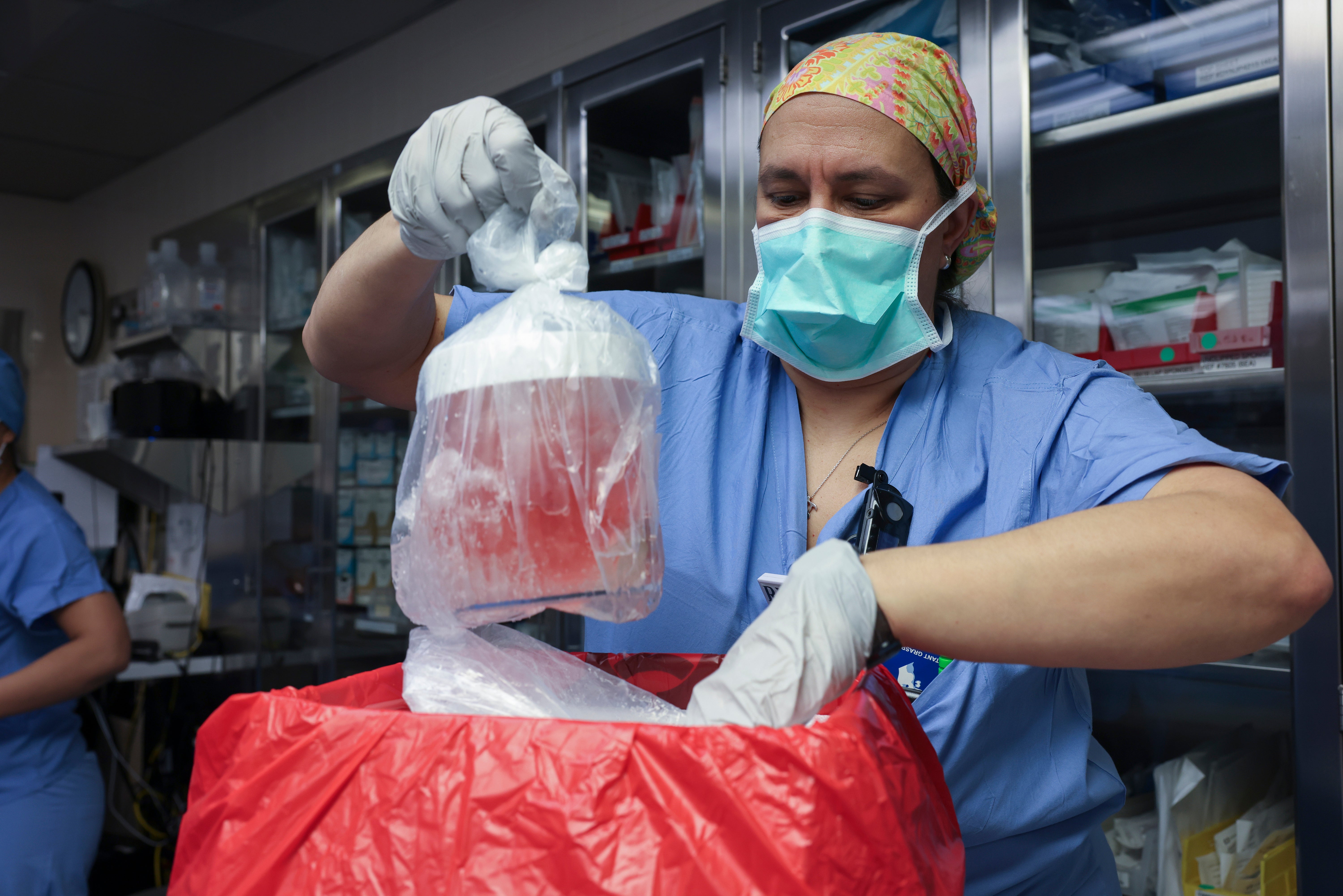 Melissa Mattola-Kiatos, RN, nursing practice specialist, removes the pig kidney from its box to prepare for transplantation at Massachusetts General Hospital, March 16, 2024, in Boston