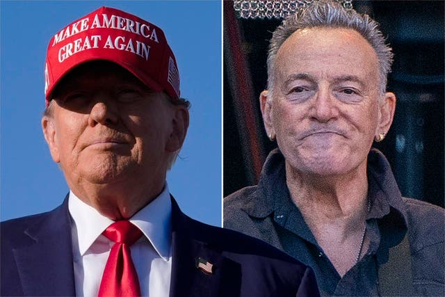 <p>Donald Trump taunts Bruce Springsteen </p>