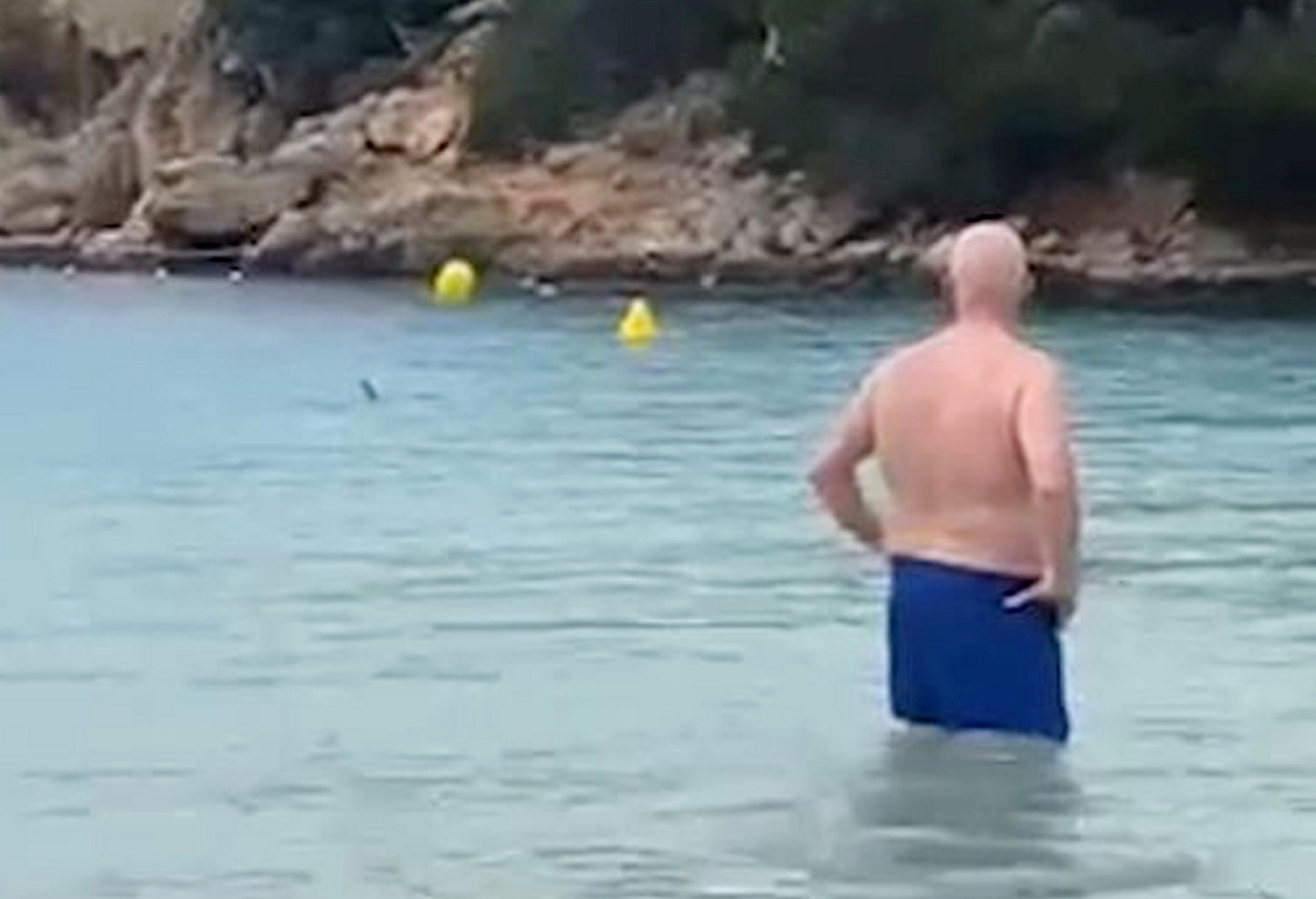 <p>Concerned beachgoers flagged the lifeguard down - who quickly called for backup</p>