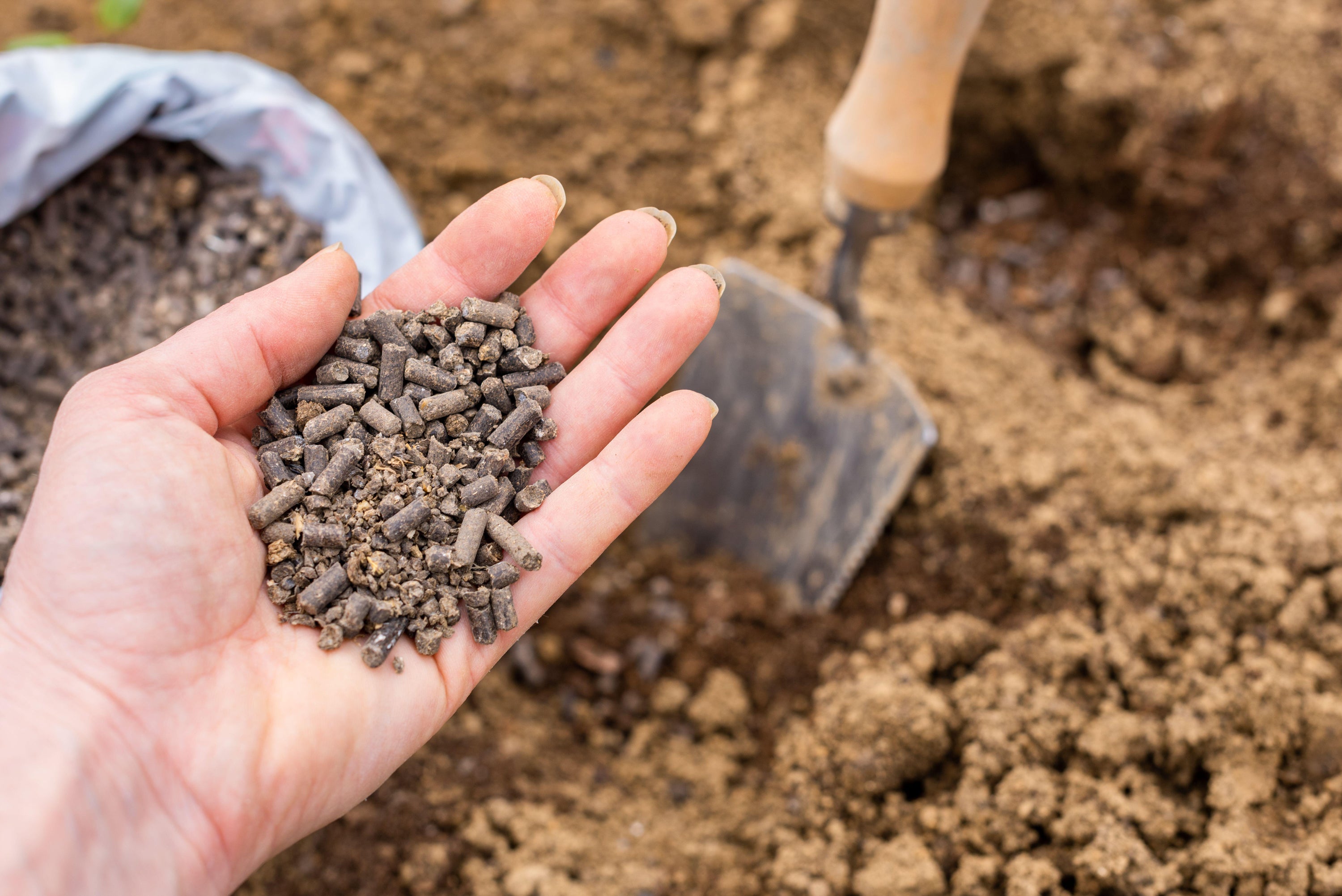 garden, rutland, gardening, summer, when to cut back and when to sow: the ultimate summer garden calendar