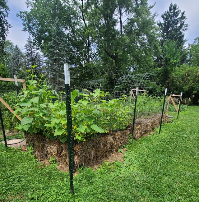 Gardening-Straw Bales