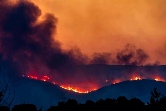 Europe was hit by heatwaves with extreme heat and the biggest fire ever, in Greece, in 2023 (Alamy/PA)