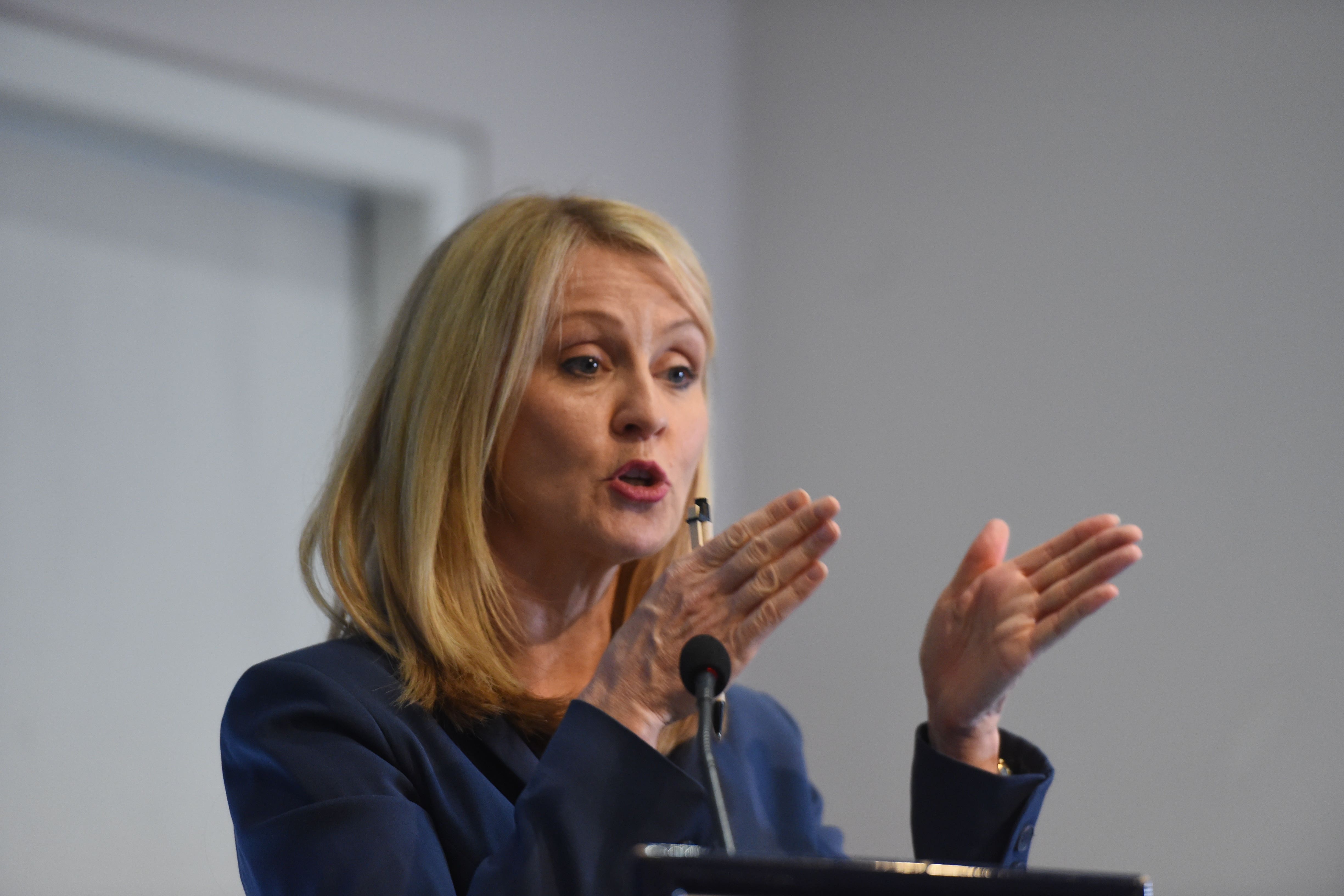 Esther McVey was unhappy with an early election (PA)