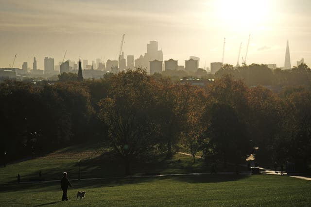 A poll found nearly 90% of workers agreed that employers should consider the impact their business has on nature when making decisions (Aaron Chown/PA)