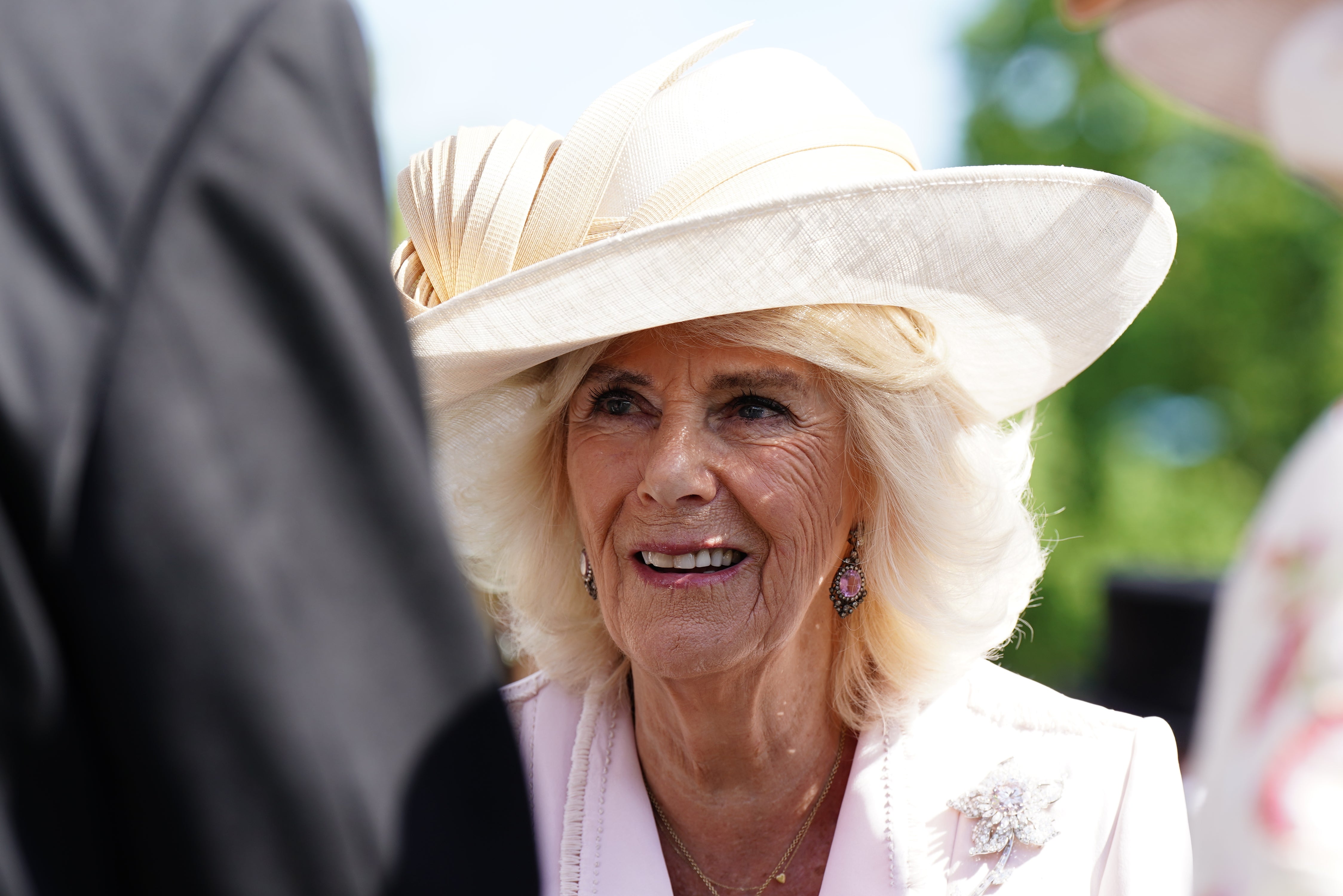 Queen Camilla hosted the evening for some 4,000 people at Buckingham Palace on Wednesday