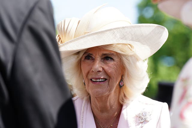 <p>Queen Camilla hosted the evening for some 4,000 people at Buckingham Palace on Wednesday </p>