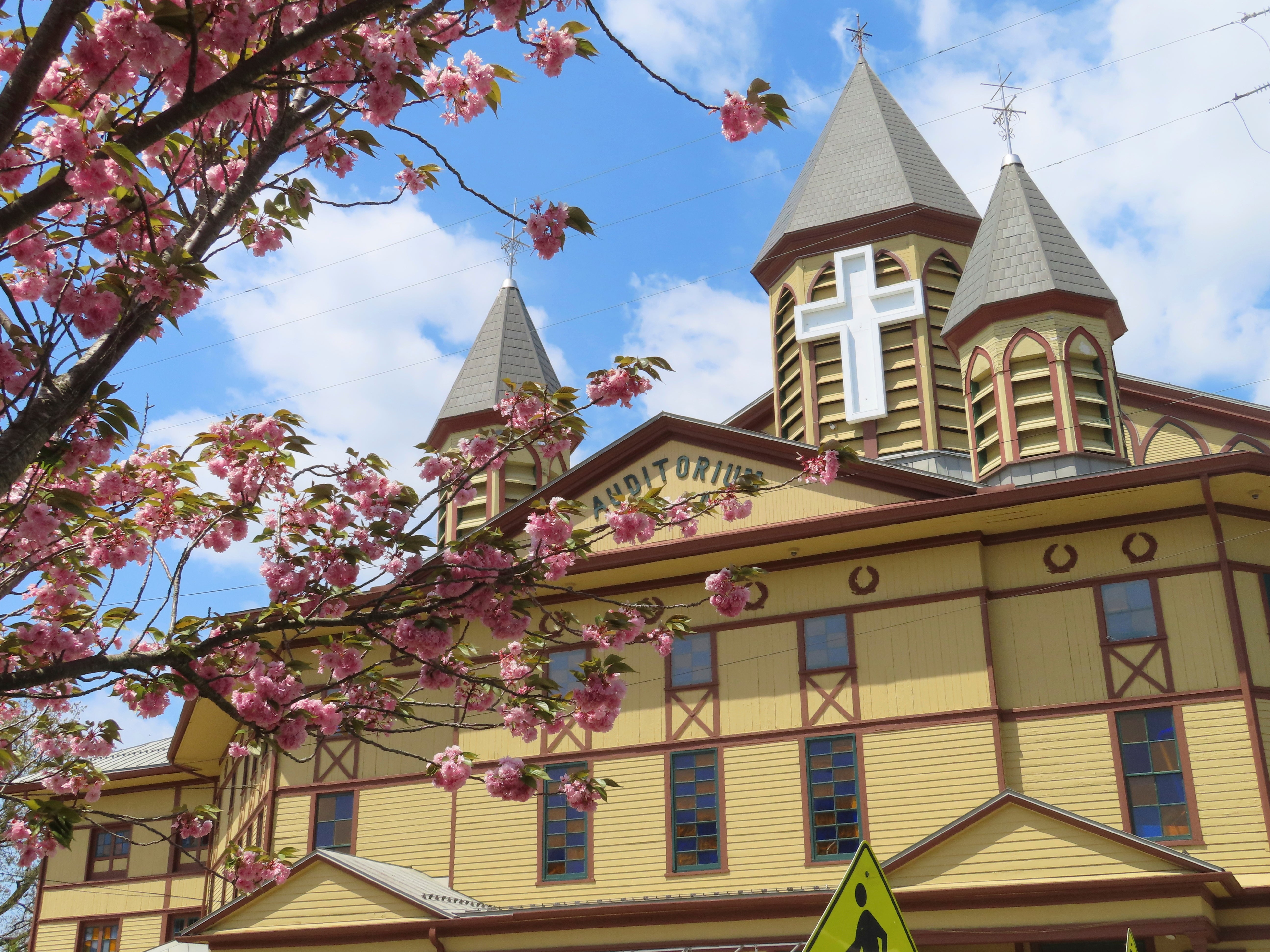 Sunday Morning Beach Closure
