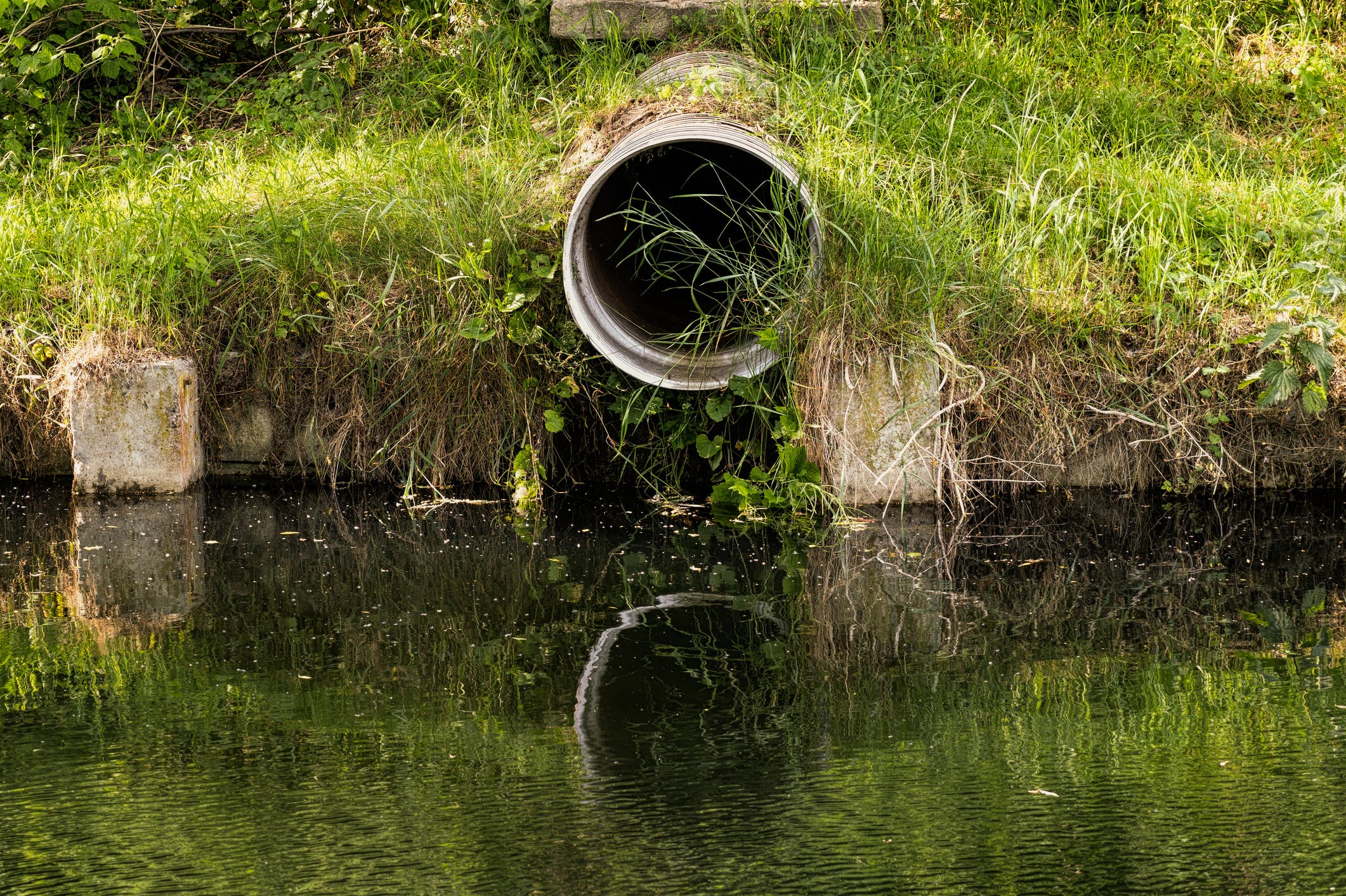 Bid to criminalise water companies that don't tackle sewage spills fails - Vimarsana News