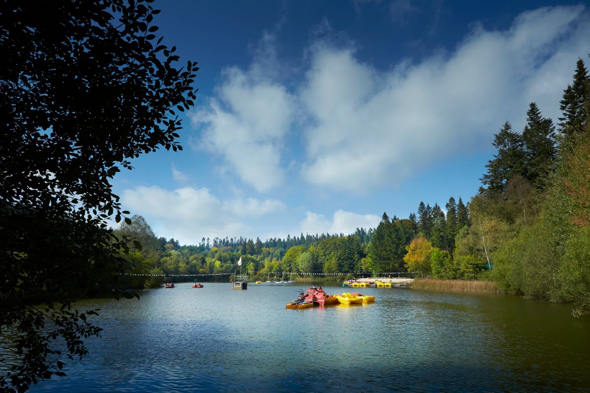 Center Parcs holidays: Families can save hundreds of pounds by swapping the UK for Europe