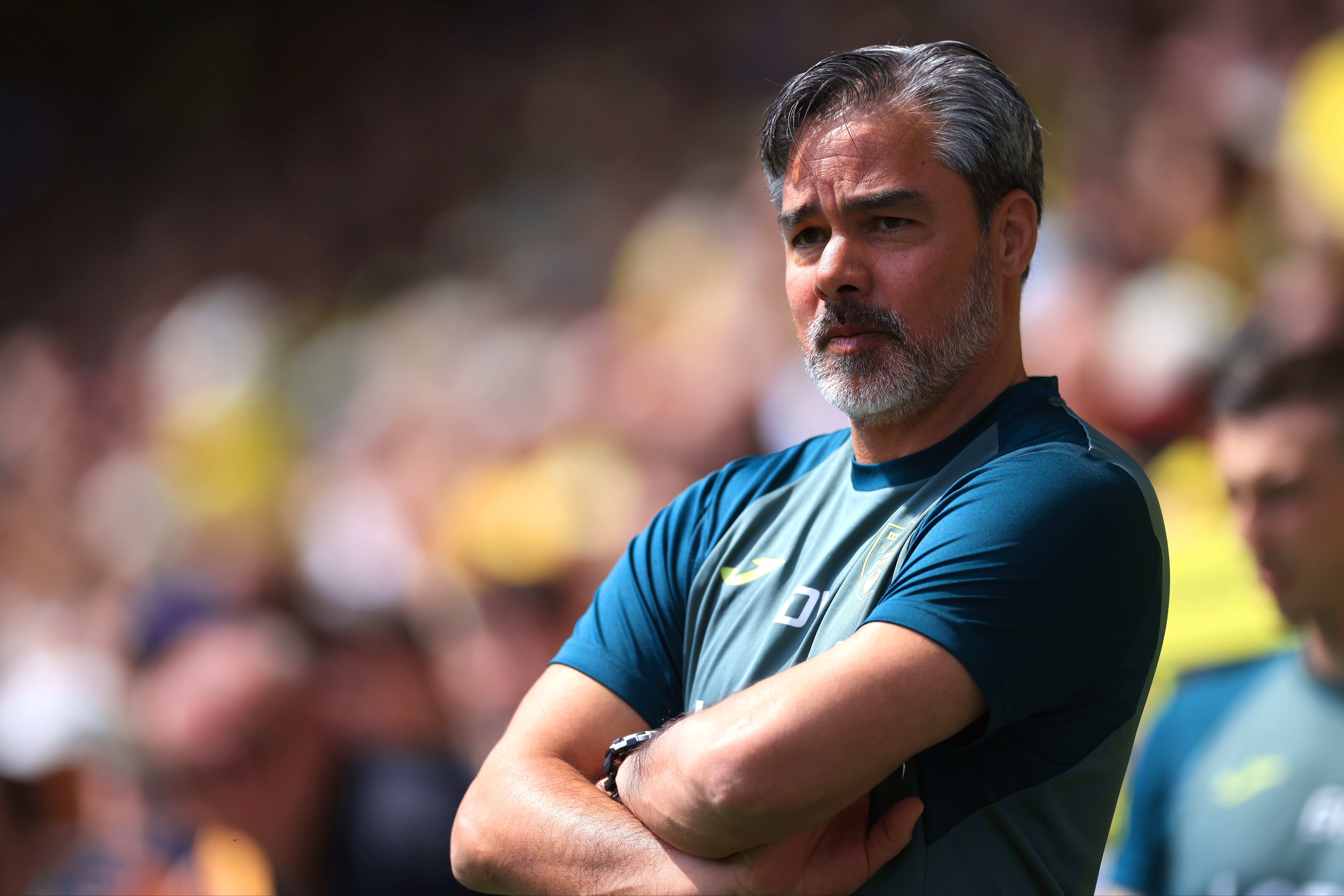 David Wagner has been sacked by Norwich