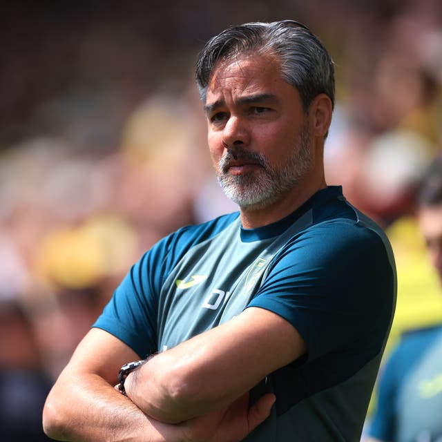 <p>David Wagner has been sacked by Norwich</p>