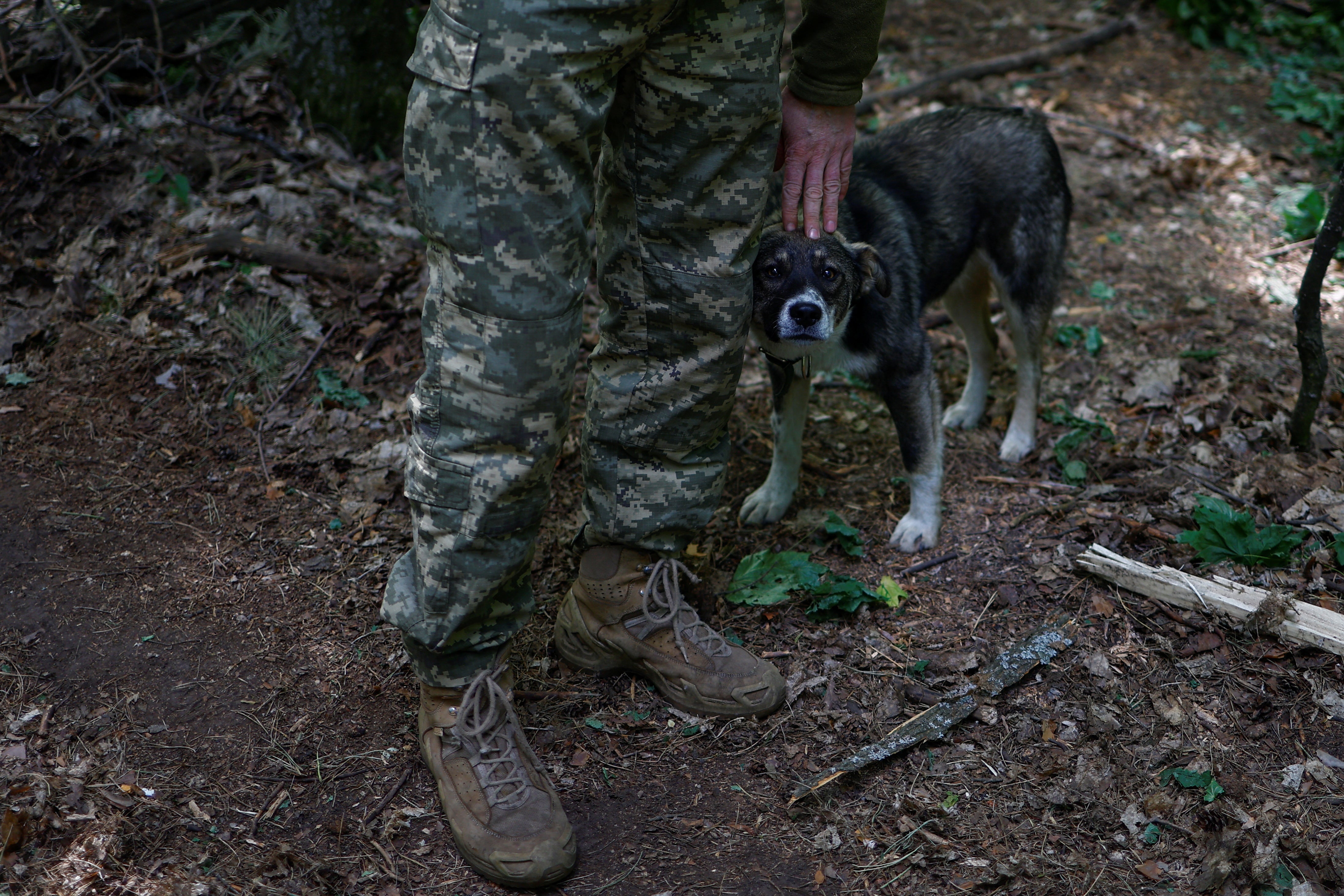 Ukrainian serviceman of the 42nd Separate Mechanized Brigade with the call sign ‘Maestro’ pets dog with the name ‘Senator’ at a position near the border in Kharkiv