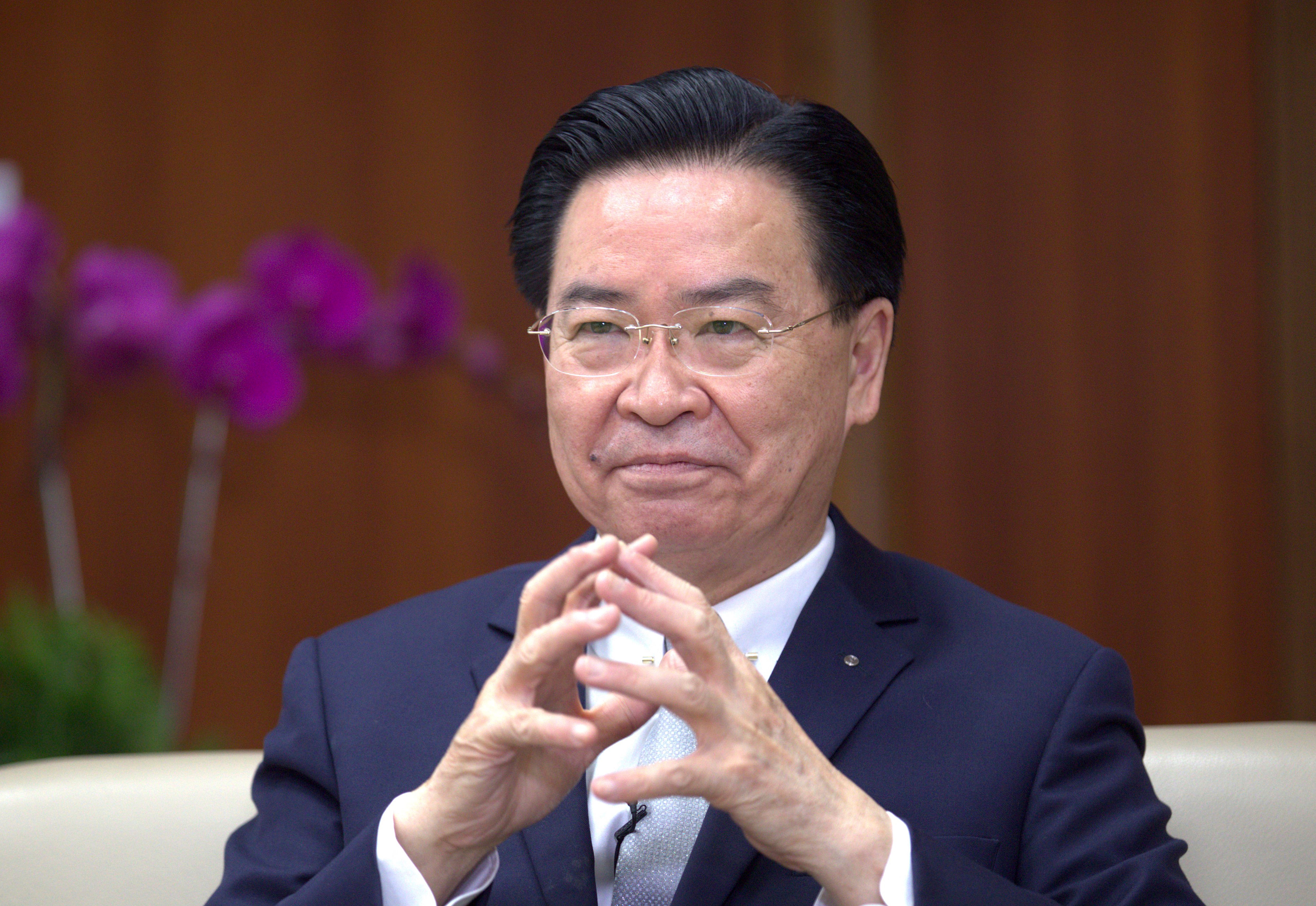 Taiwan Foreign Minister Interview