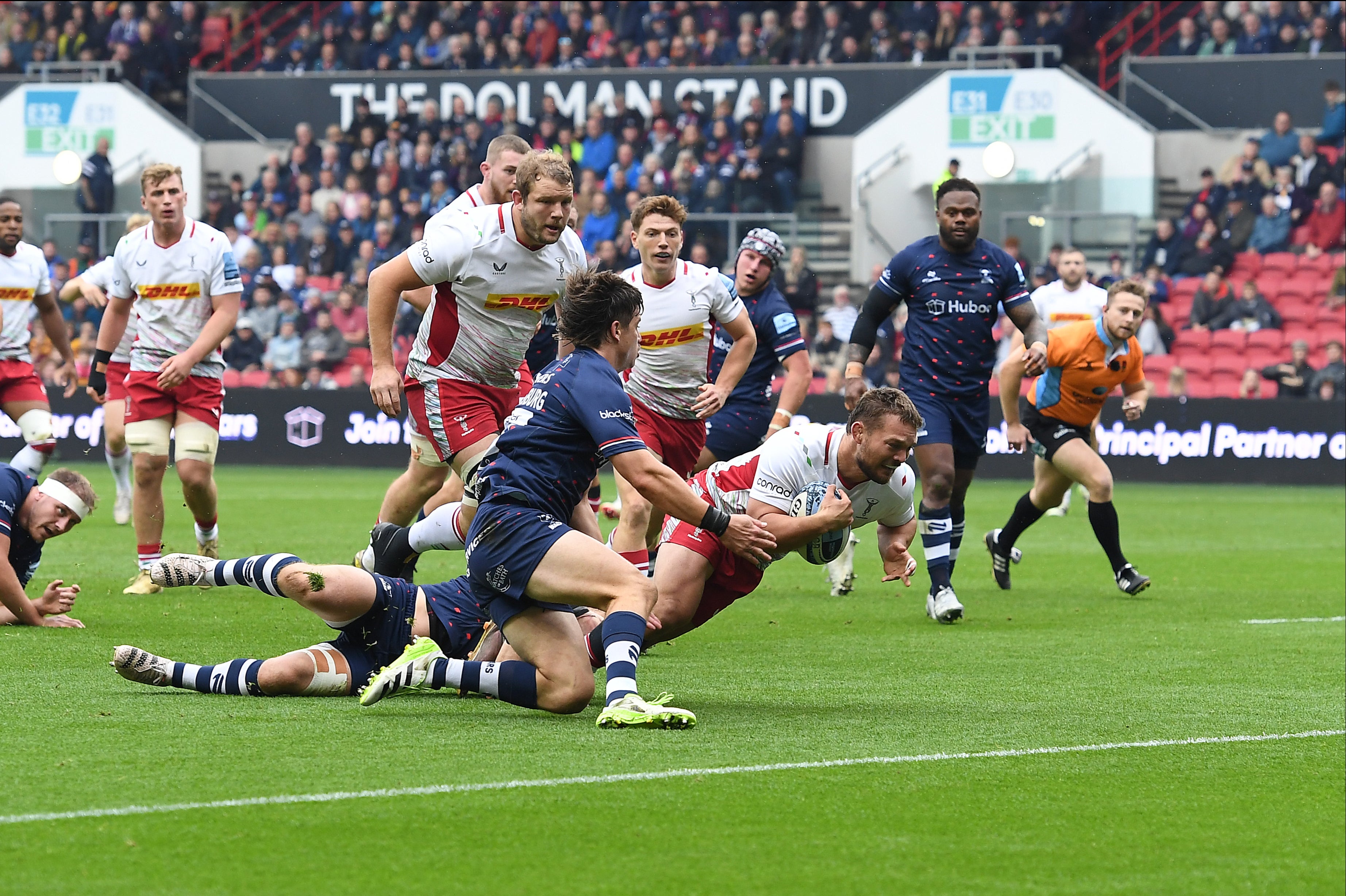Harlequins and Bristol should provide an entertaining finale at the Twickenham Stoop