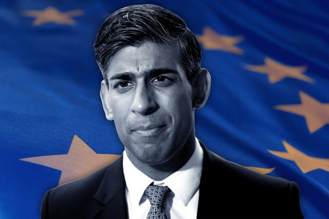 <p>Rishi Sunak has admitted that ‘I’m sure changing our trading relationship with the EU is a big part of the reason why this is happening’ </p>