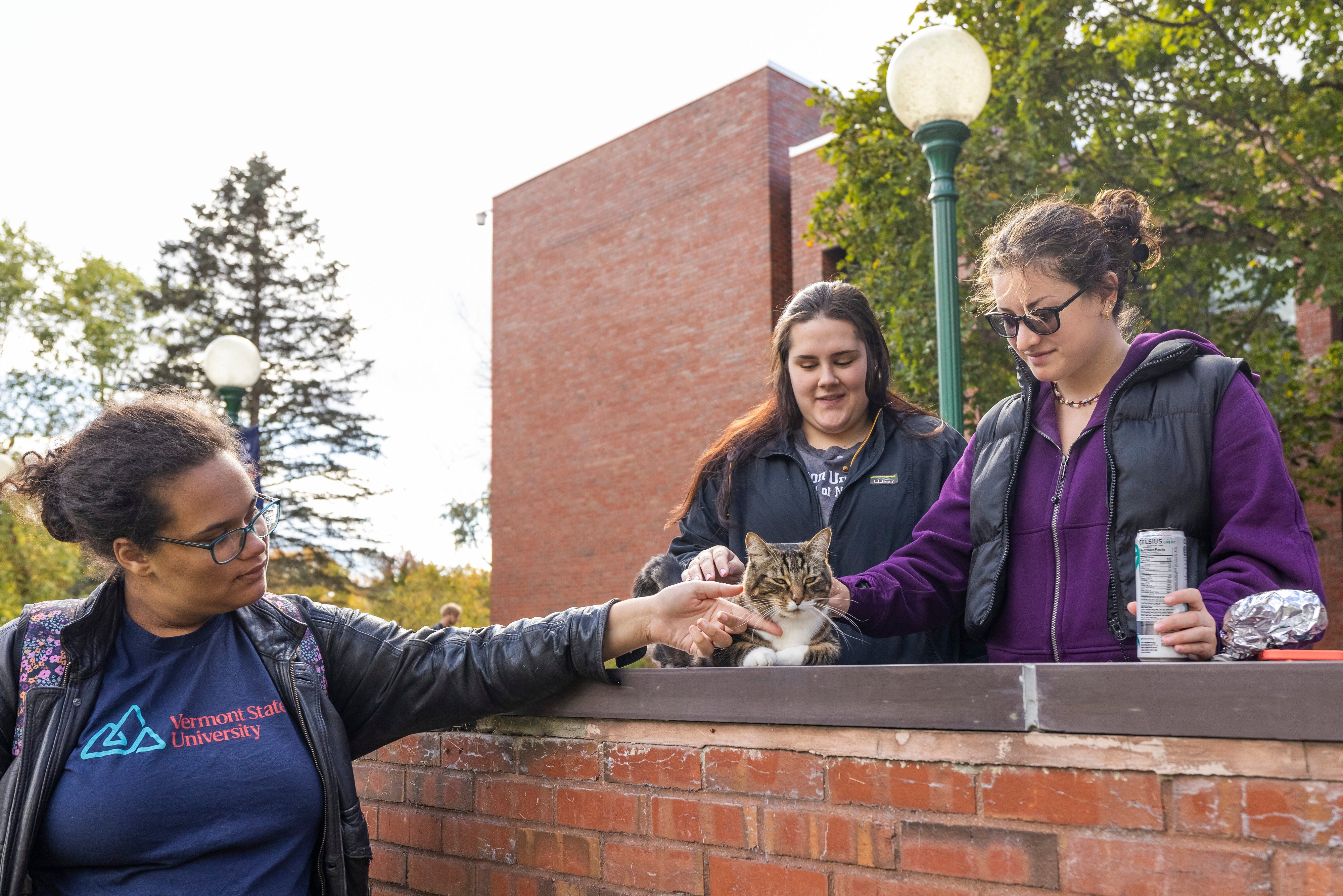Vermont State University students pet Max the Cat in front of Leavenworth Hall at Vermont State University Castleton on 12 October, 2023 in Castleton, Vermont
