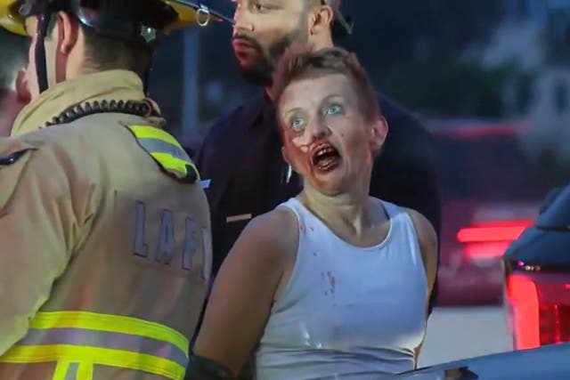 <p>The suspect was taken into custody after ploughing into oncoming traffic in Los Angeles, 17 May 2024, in her van </p>