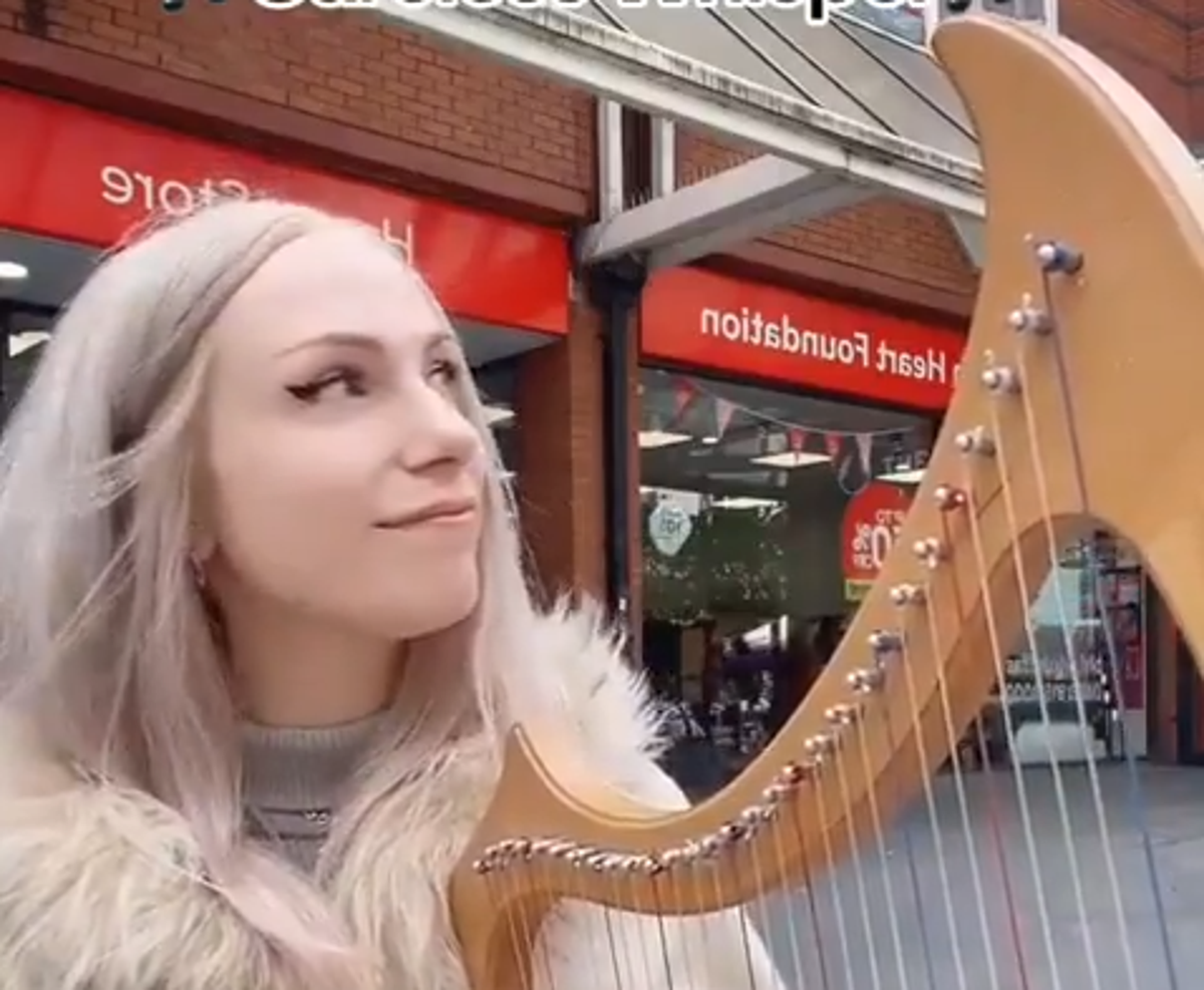 Extraordinary moment woman playing harp on high street is berated by ...