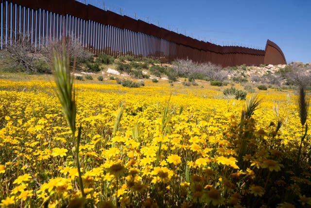 US Mexico Border Biodiversity