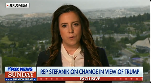 Elise Stefanik appears on Fox News on 19 March 2024