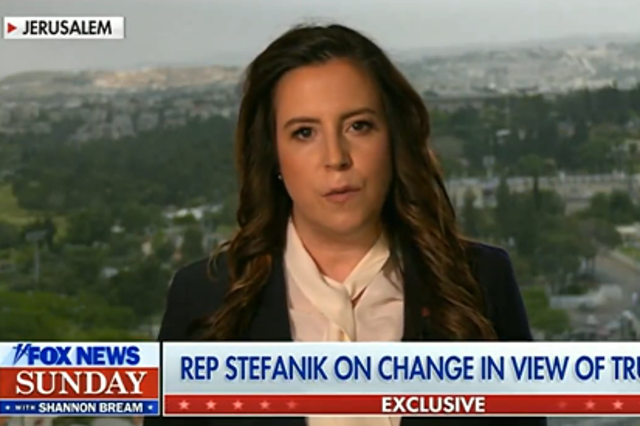 <p>Elise Stefanik appears on Fox News on 19 March 2024</p>