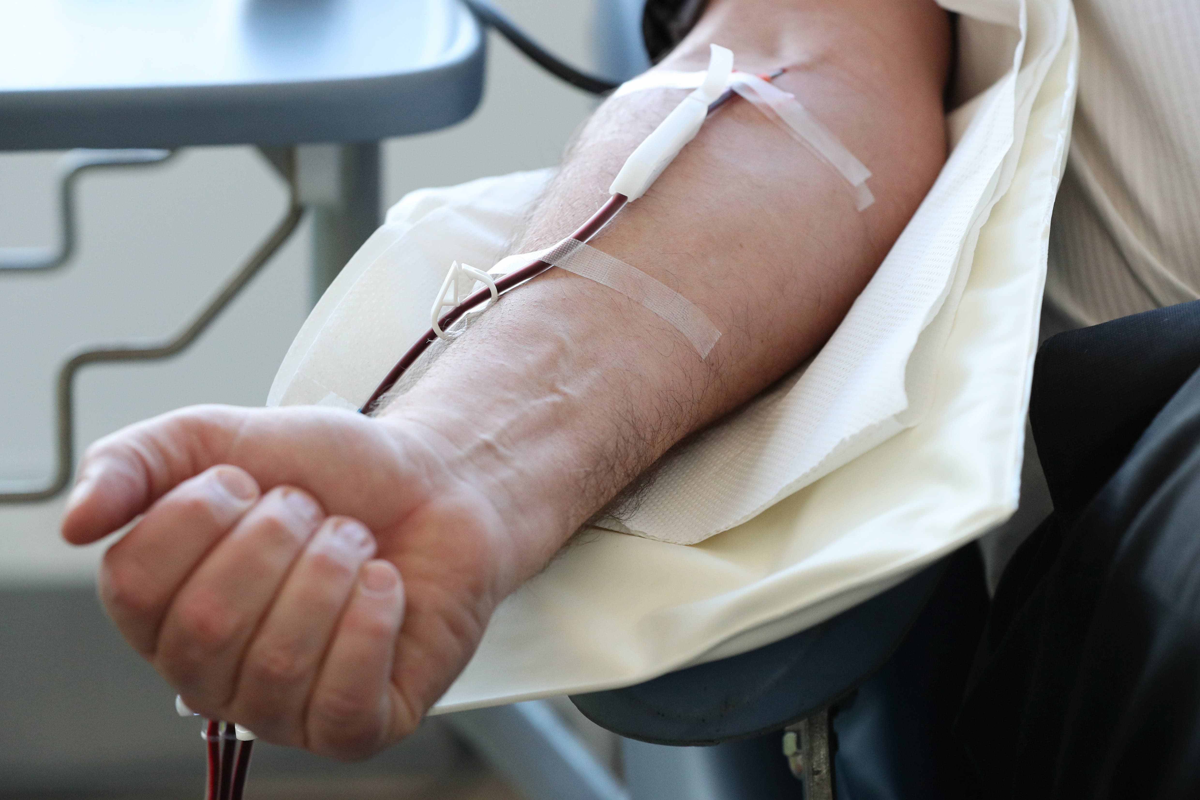 الأشخاص ذوو فصيلة الدم O هم متبرعون عالميون ويمكن مطابقتهم مع أي فصيلة دم