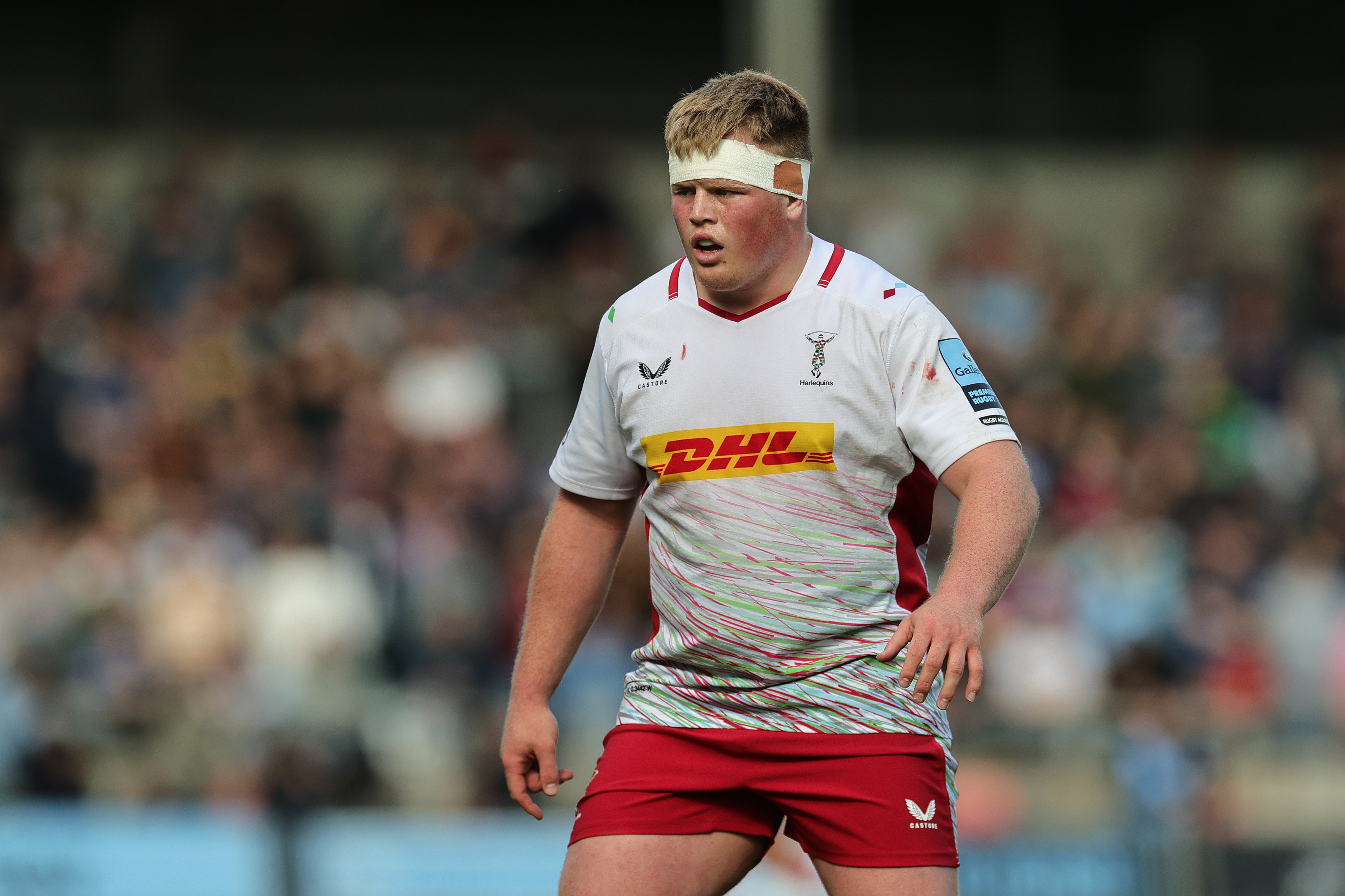 Harlequins youngster Fin Baxter is in line for a first call up