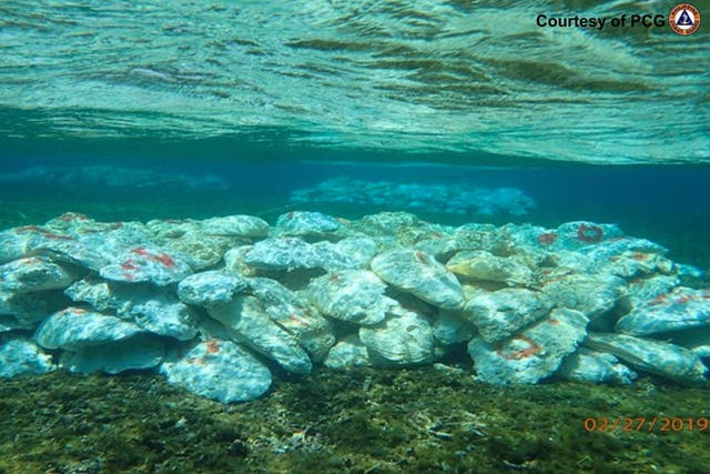 <p>This February 27, 2019 handout photo provided by the Philippine Coast Guard shows marked giant clams in several piles made by Chinese militias at the shallow part of the Scarborough shoal, at the disputed South China Sea, the Philippine Coast Guard said</p>