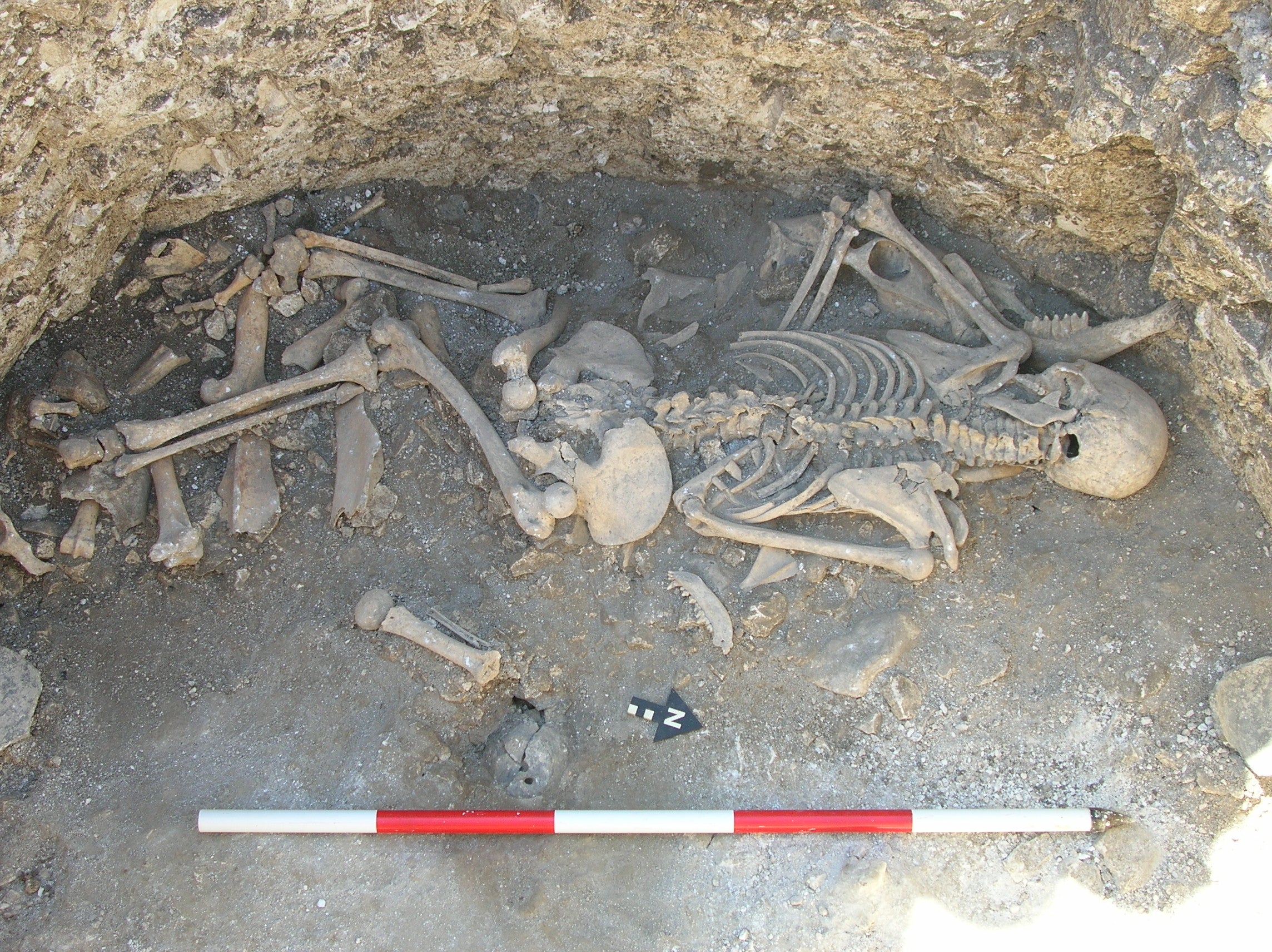 Remains of a woman who was killed by a stab wound to the neck as well as damage to a rib, possibly inflicted through violence, found during excavations of pre-historic settlement dating back 2,000 years at Winterborne Kingston in central Dorset