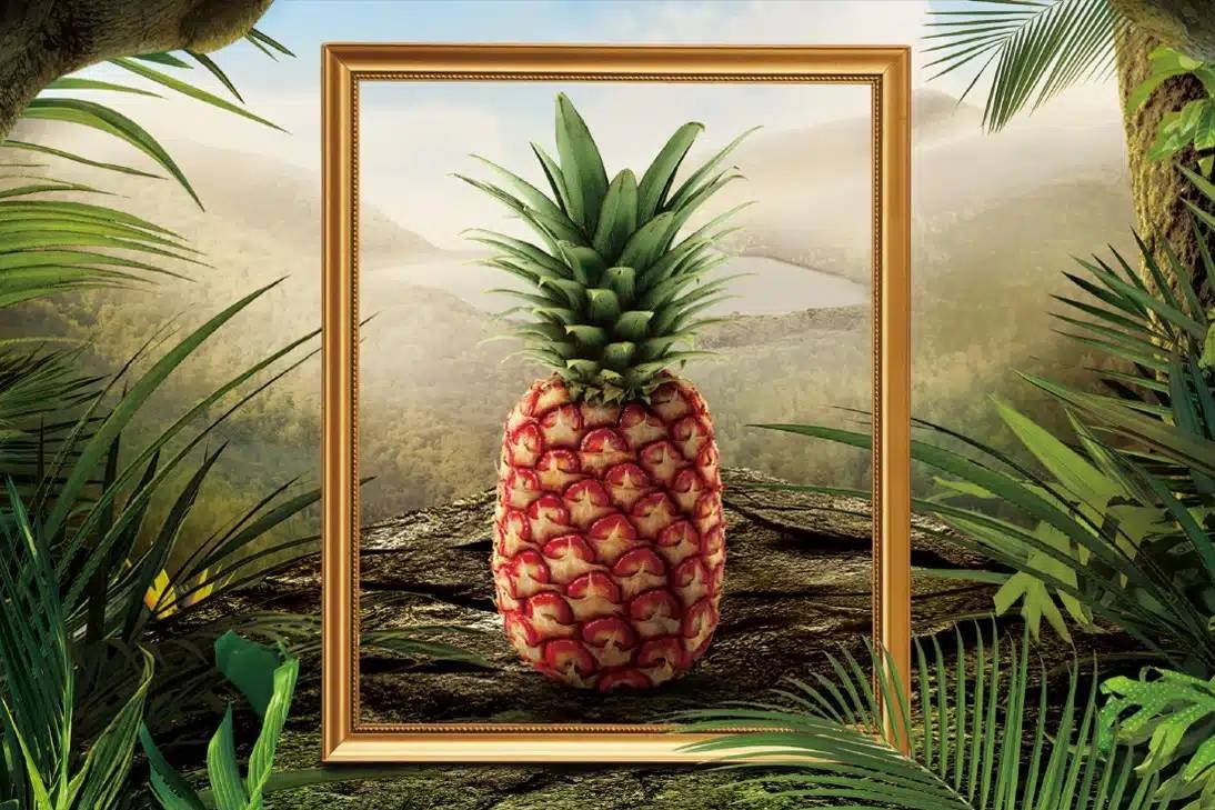 The exclusive Rubyglow Pineapple is being sold for just under $400 by California grocery retailer Melissa’s Produce