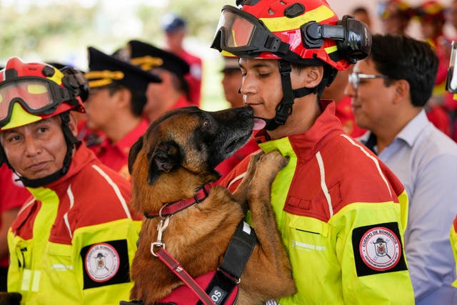 Ecuador Firefighter Dogs